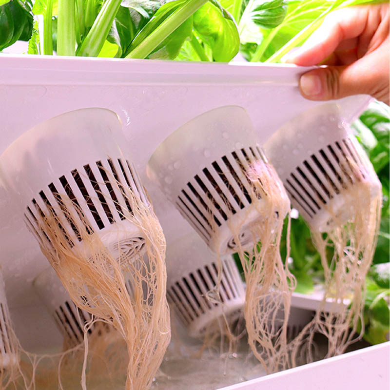 ydroponic plantsysteem Smart H - Home Automation System Diy recensie en prijs